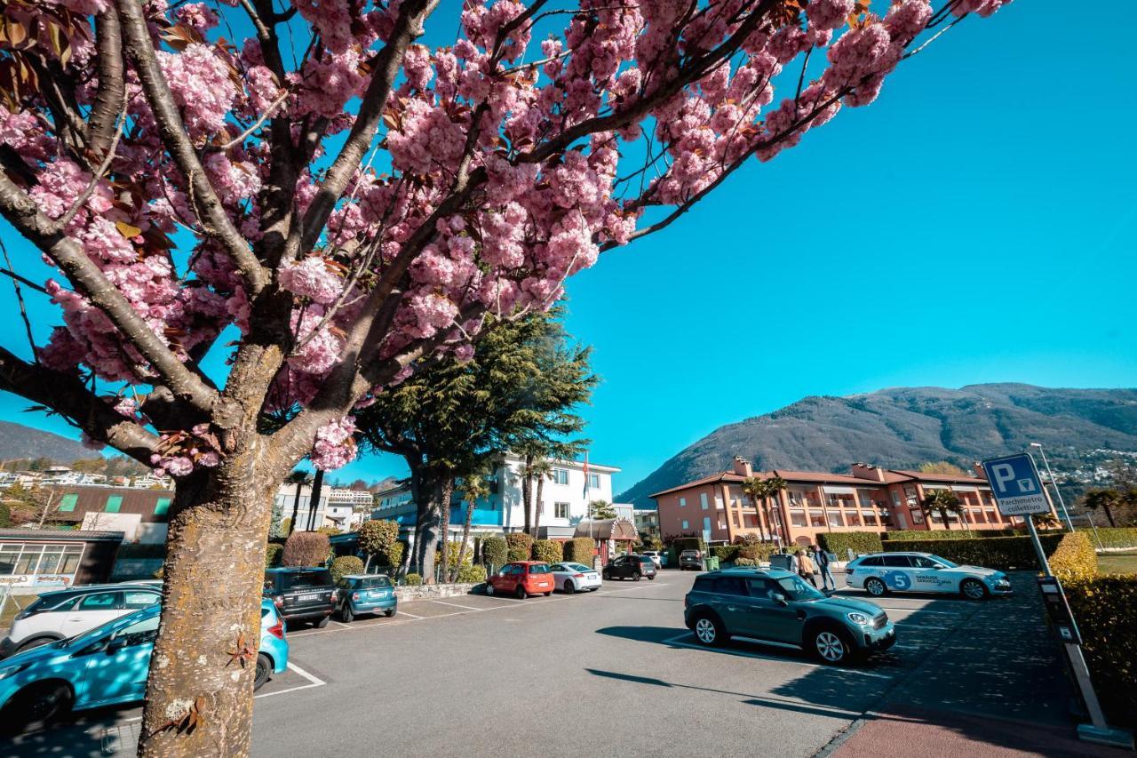 Ascona Lodge, Pool & Garden Retreat Екстер'єр фото